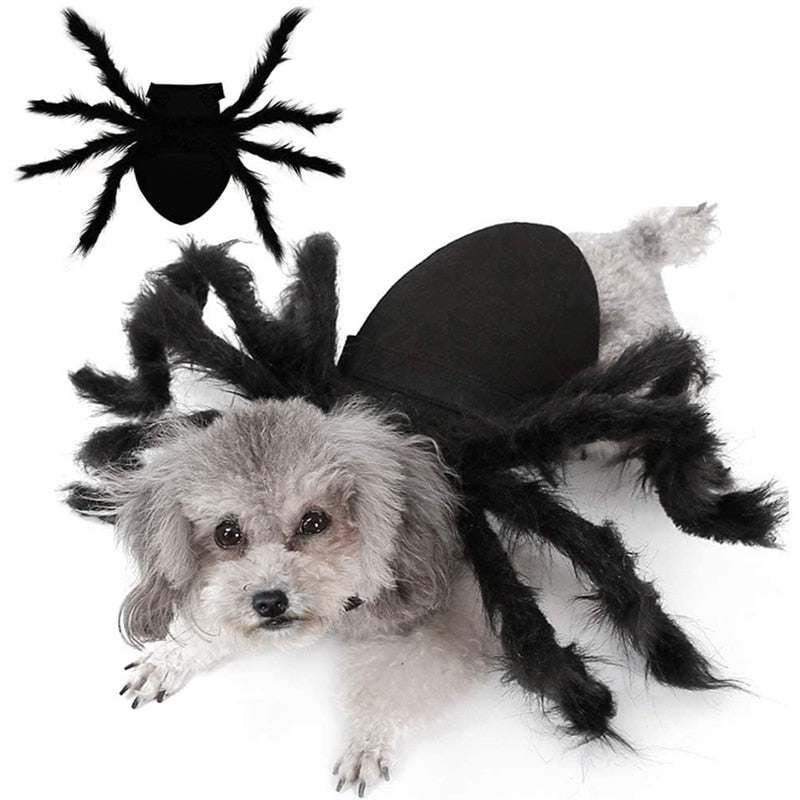 Spider Costume for Pets